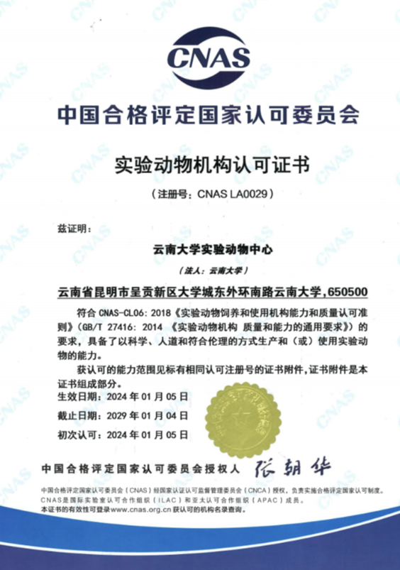 【云南】云南大學(xué)實驗動物中心順利通過CNAS實驗動物機構(gòu)認可